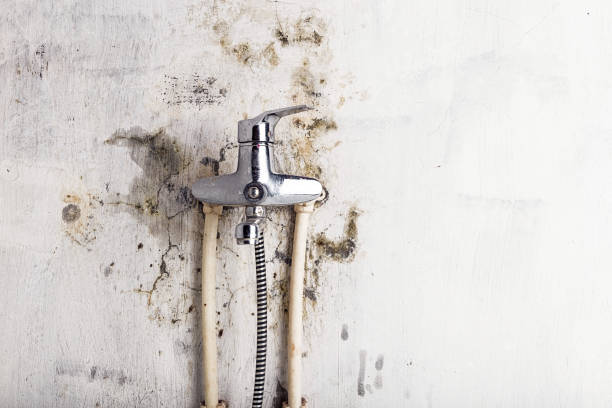 Best Residential Mold Remediation in Ontario, OR