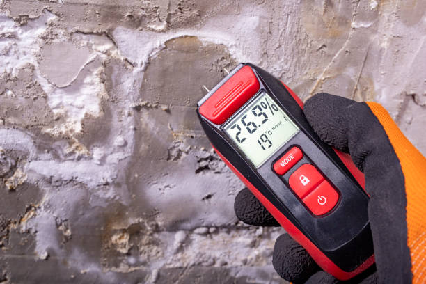 Trusted Ontario, OR Mold Remediation Experts