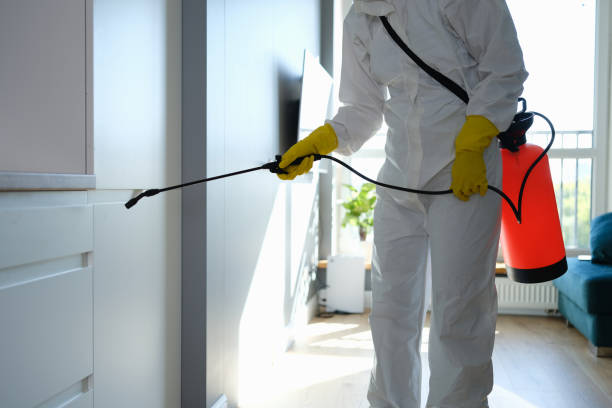 Best Insurance-Related Mold Remediation in Ontario, OR